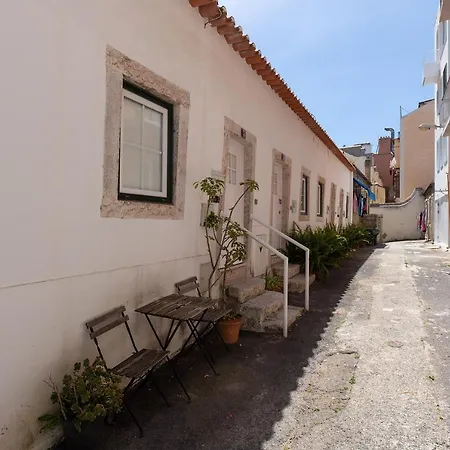 Charming In Belem